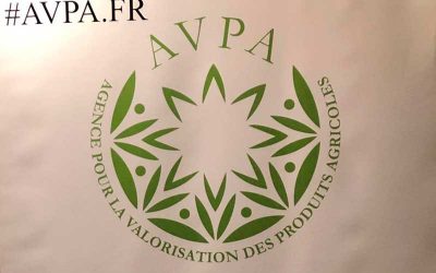AOVE Quinta San José recibe un premio en París