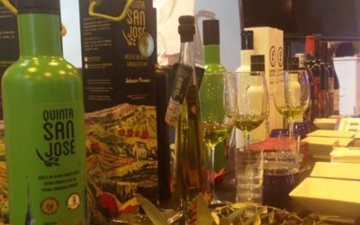 Feria Internacional de Turismo (FITUR) 2017