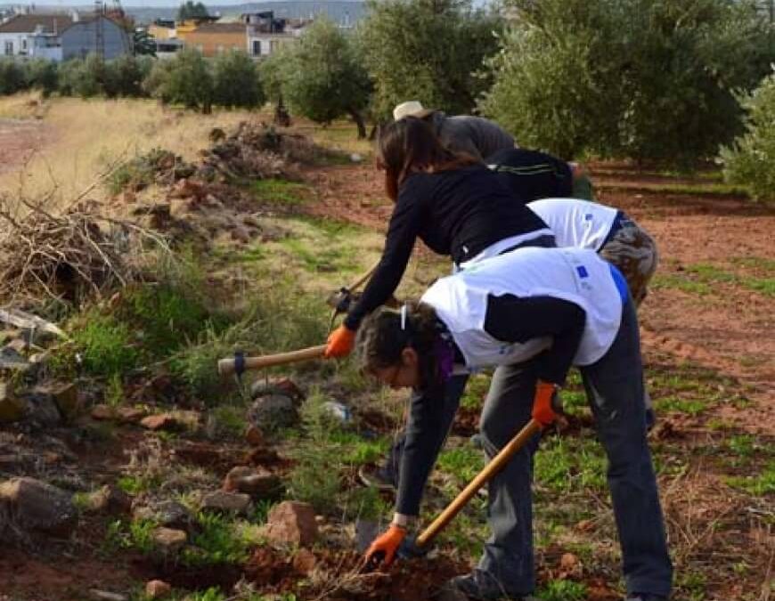 Jornada proyecto olivares vivos