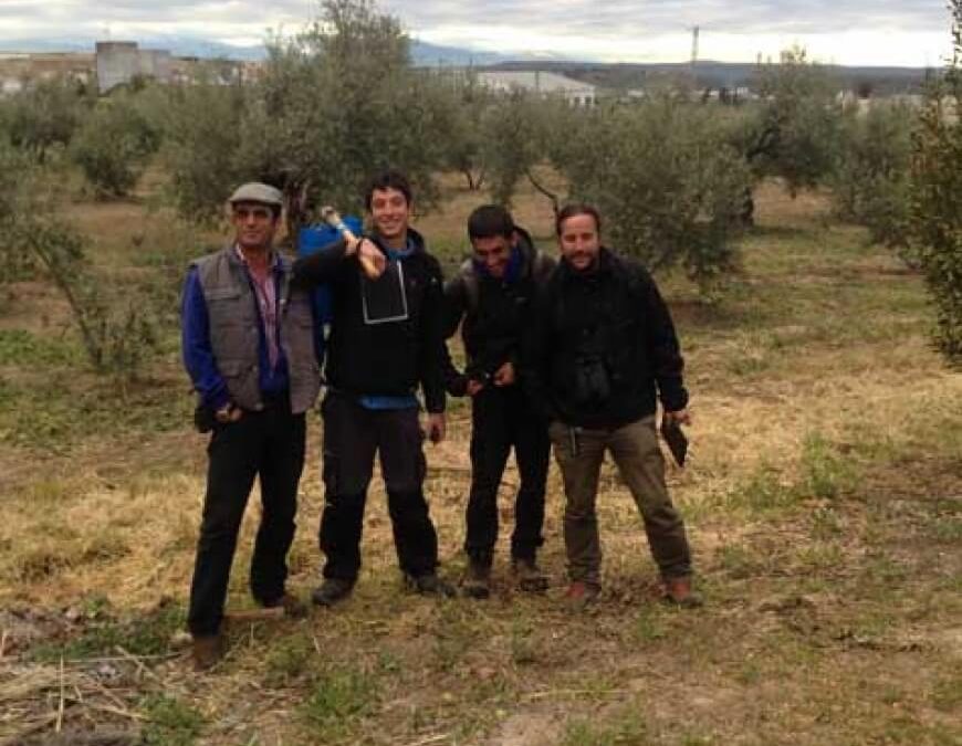 Proyecto olivares vivos